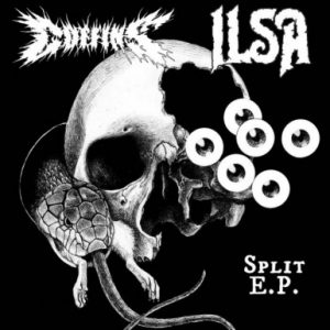 COFFINS / ILSA – split MLP