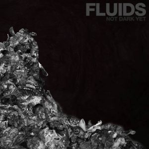 FLUIDS (USA) - Not Dark Yet CD