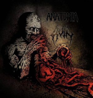 ANATOMIA / RUIN - split LP