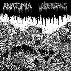 UNDERGANG / ANATOMIA – split CD