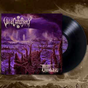 VOIDCEREMONY (USA) – ‘Threads Of Unknowing’ LP