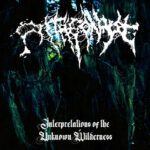 ANTAGONYZE (Cl) – ‘Interpretations of the Unknown Wilderness’ CD
