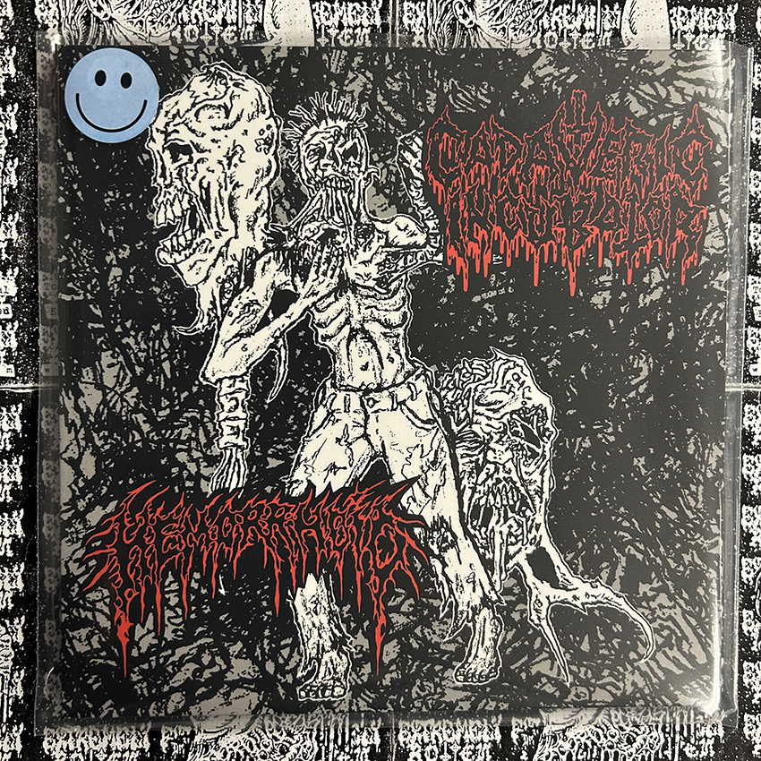 CADAVERIC INCUBATOR / HEMORRHOID - Split 7”EP (Grey vinyl)
