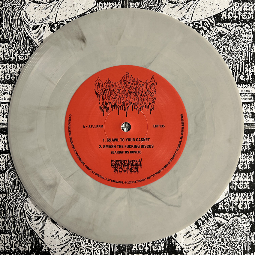 CADAVERIC INCUBATOR / HEMORRHOID - Split 7”EP (Grey vinyl) - Image 2