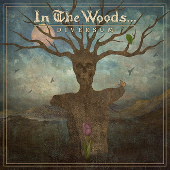 IN THE WOODS (Nor) – ‘Diversum’ CD Digipack
